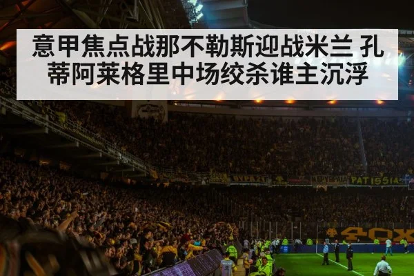 football stadium night crowd